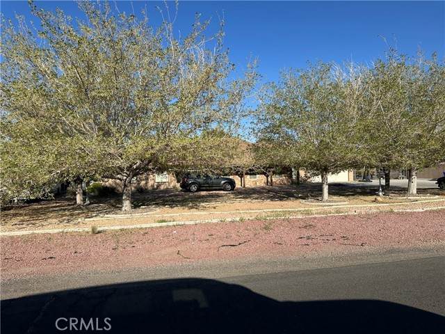 14840 Pamlico Road - Photo 1