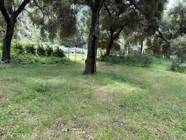 0 Colson Canyon - Photo 1