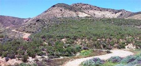125 Fern - Photo 1