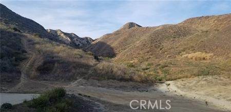 26 Chivo - Photo 1