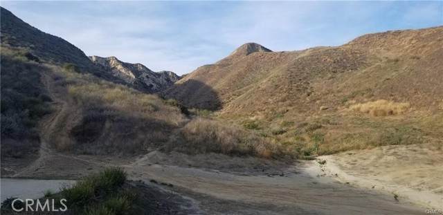 25 Chivo - Photo 1
