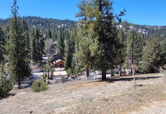 39243 Crest - Photo 1