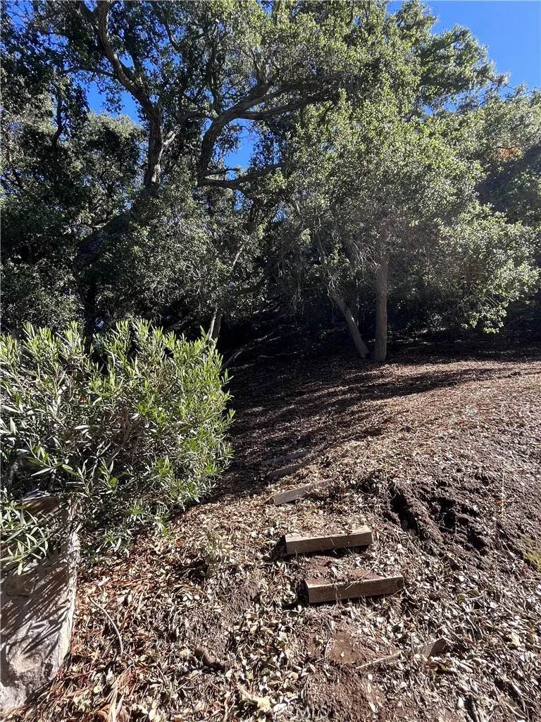 0 Old Topanga Canyon Rd - Photo 1