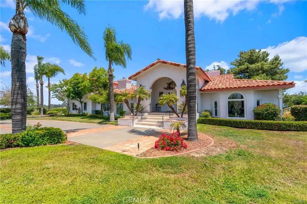 43110 Palomino - Photo 1