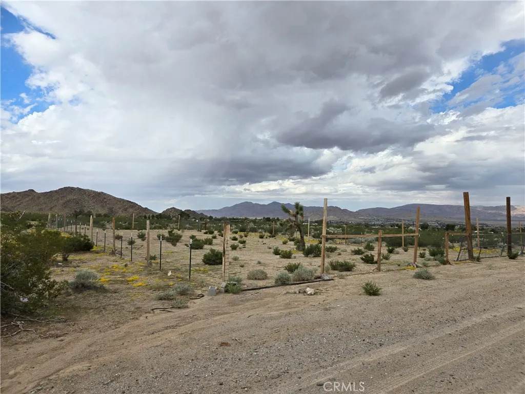 9036 Briar - Photo 1