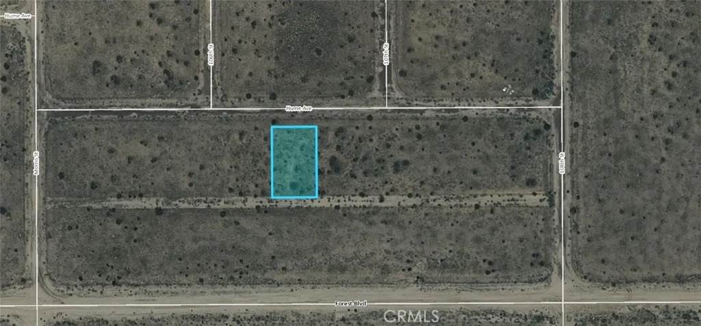 11 Hume - Photo 1