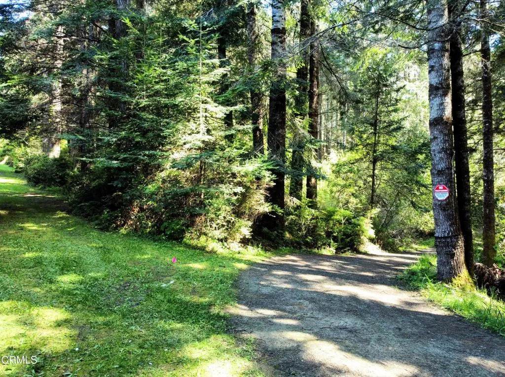 44551 Raven - Photo 1