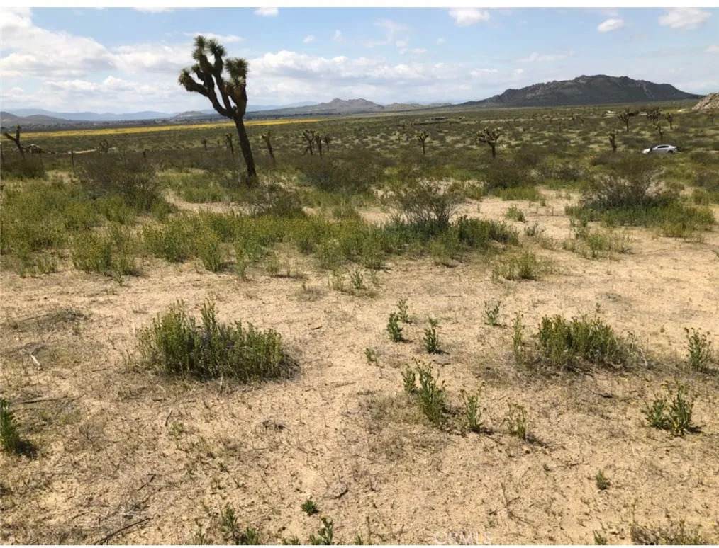 0 Vac/Vic Ave. L4/187 Ste - Photo 1