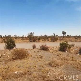 1595 La Mesa - Photo 1
