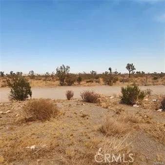 1590 Saratoga - Photo 1