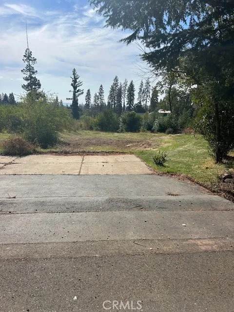 2336 Stearns - Photo 1