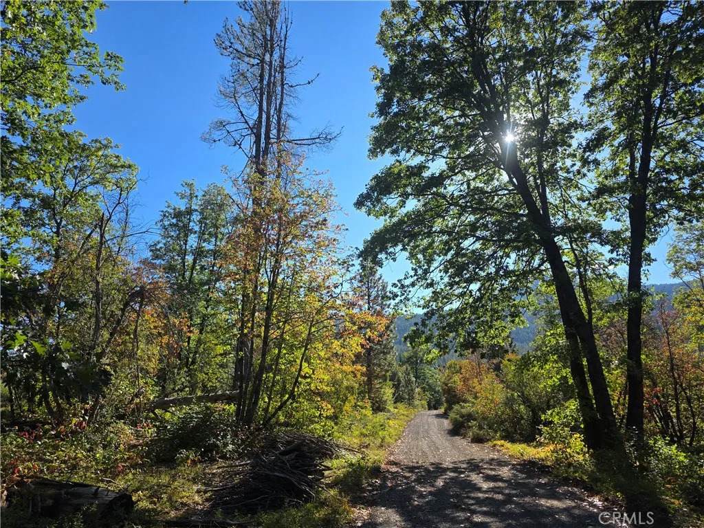 0 Muledeer Rd. - Photo 1