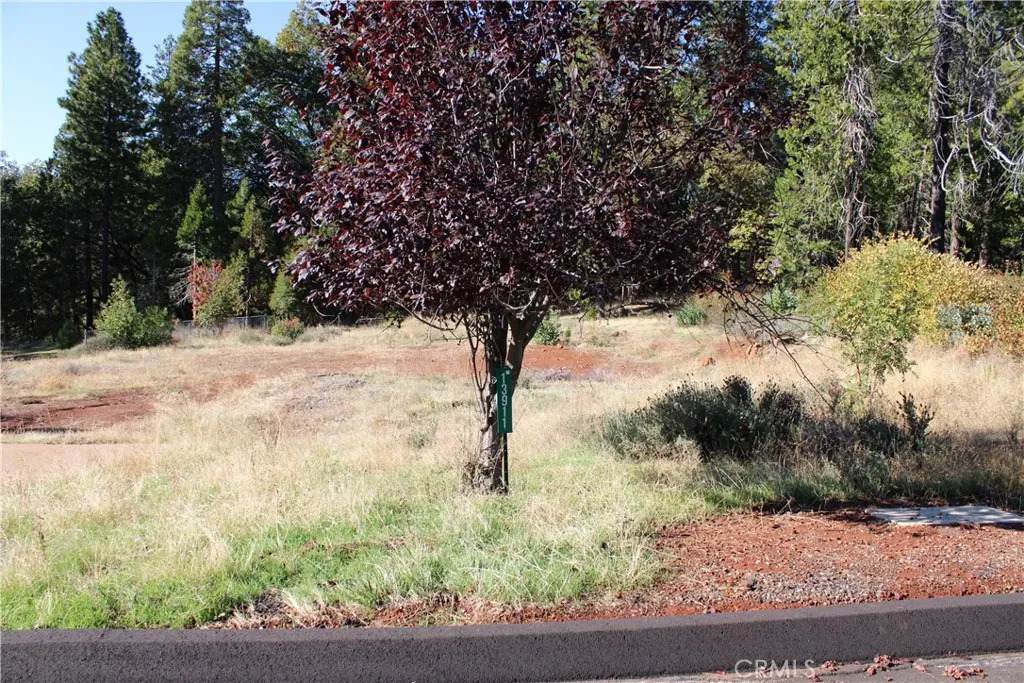 13911 Cluster - Photo 1
