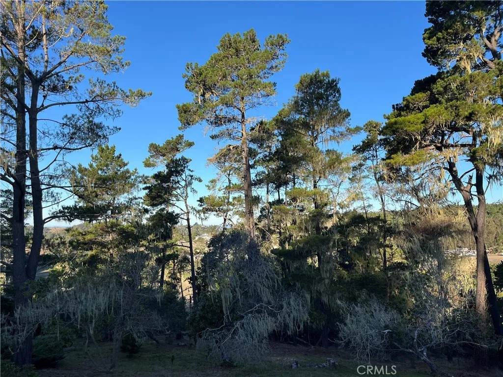 3235 Rogers - Photo 1