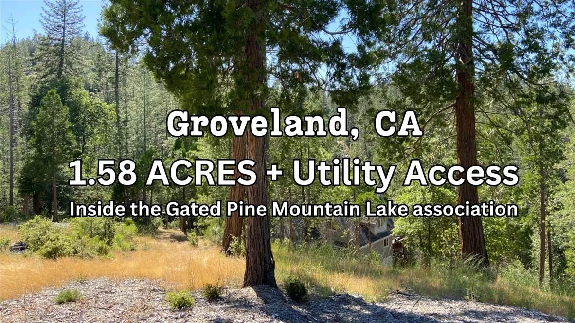 0 Pine Mountain - Photo 1