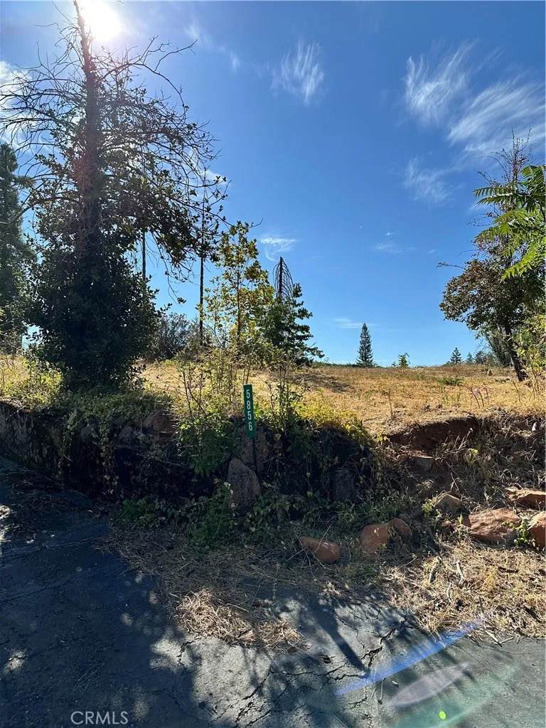 5856 Grape - Photo 1