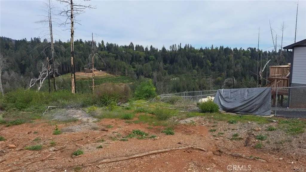 6545 Lesley - Photo 1