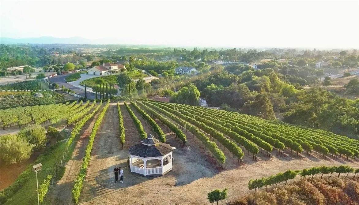 38386 Rock Creek Cir - Photo 1