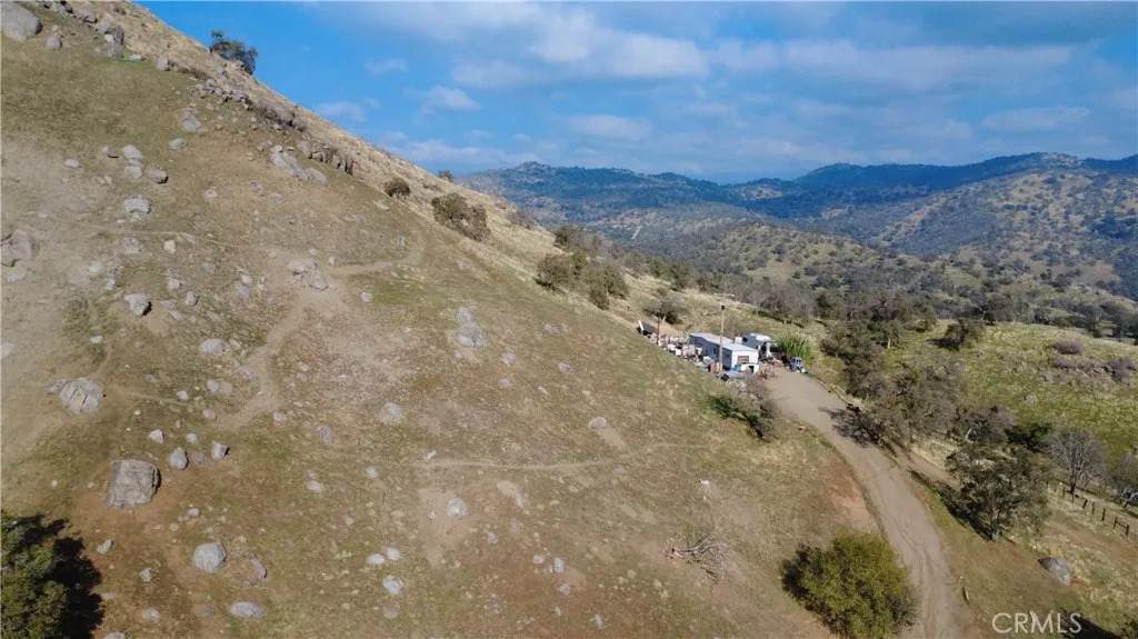 40885 Cornflower - Photo 1