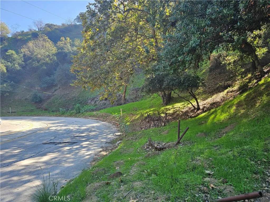 2161 Laurel Canyon - Photo 1