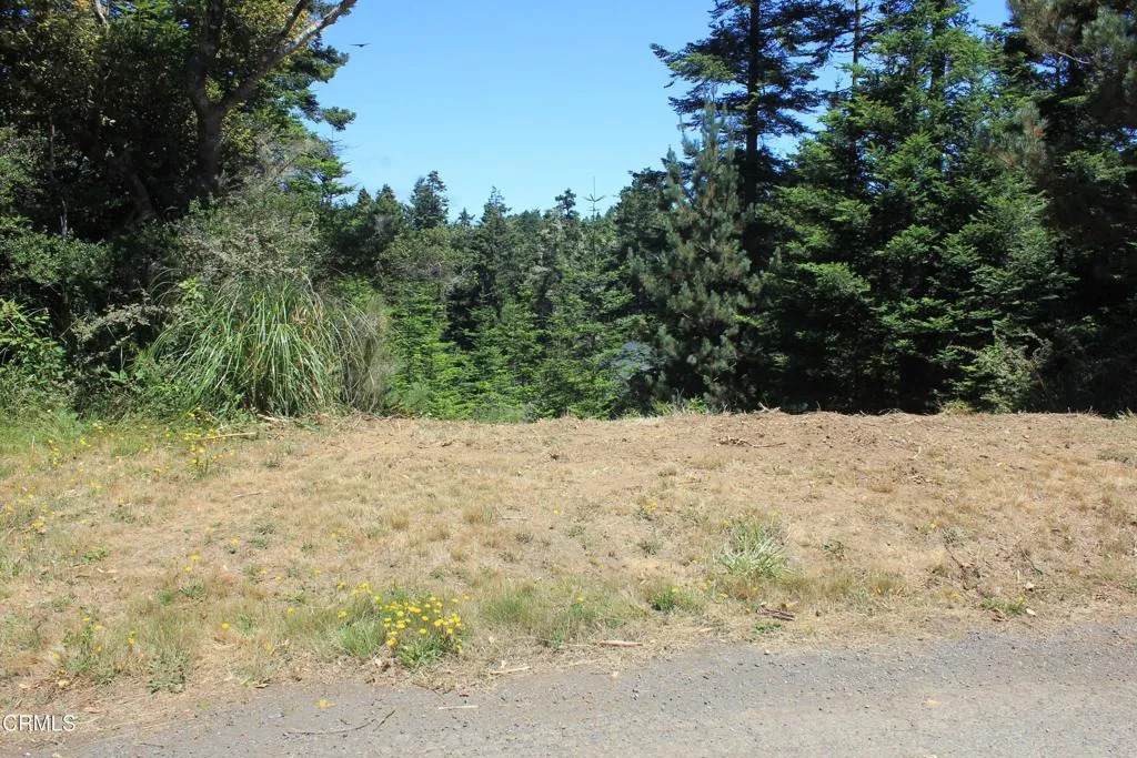 44068 Ocean Vista - Photo 1