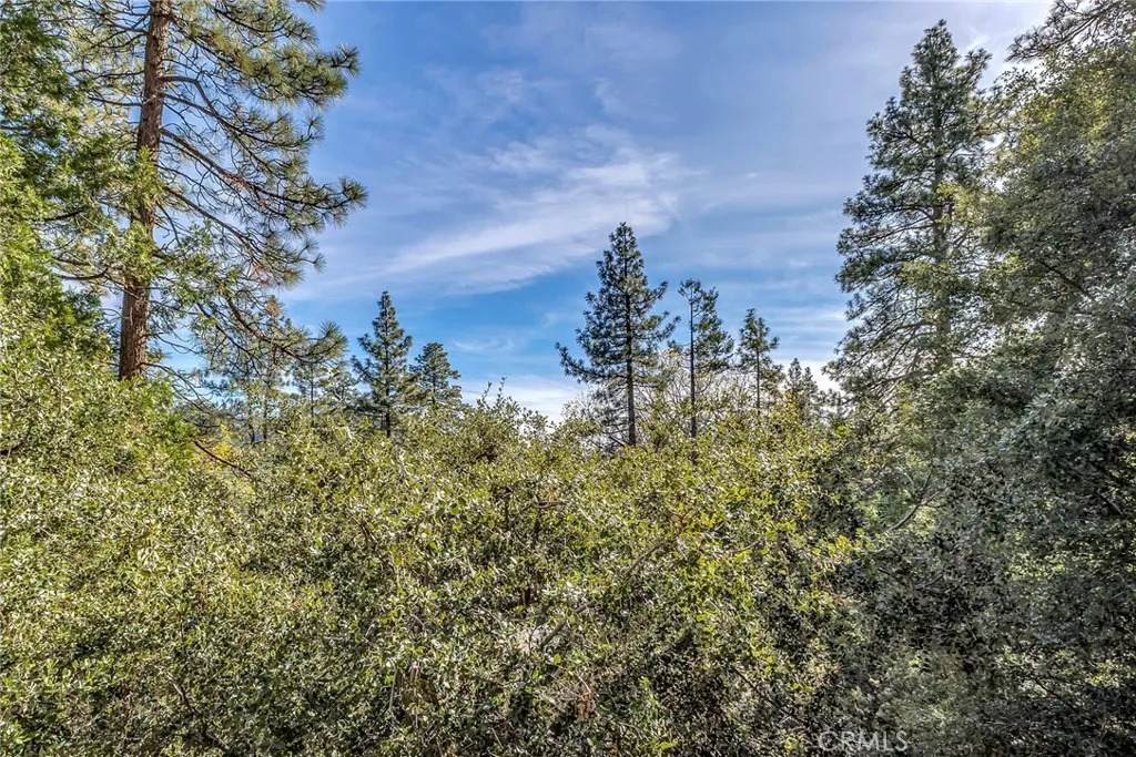0 Jeffery Pine Rd. - Photo 1