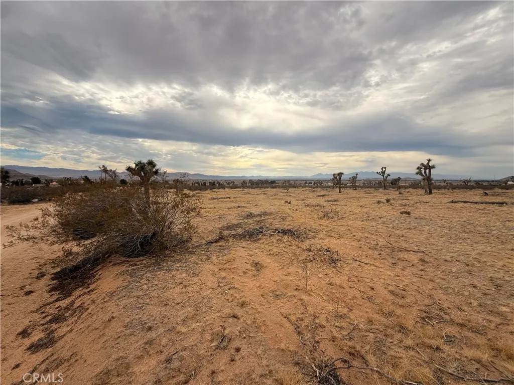 16252 Olema - Photo 1