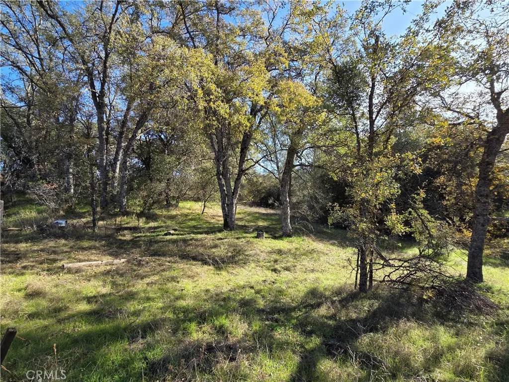 0 12.19 Ac Road 222 - Photo 1