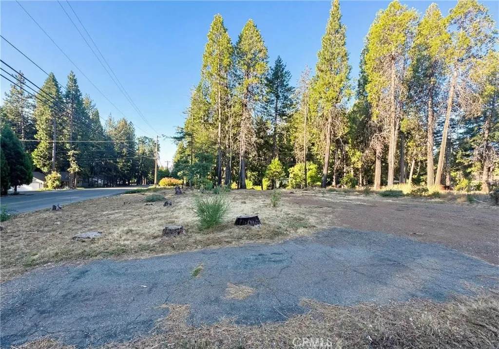 14105 Creston - Photo 1