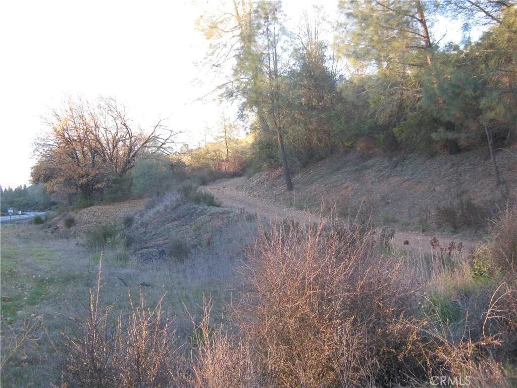 9000 State Highway 29 - Photo 1