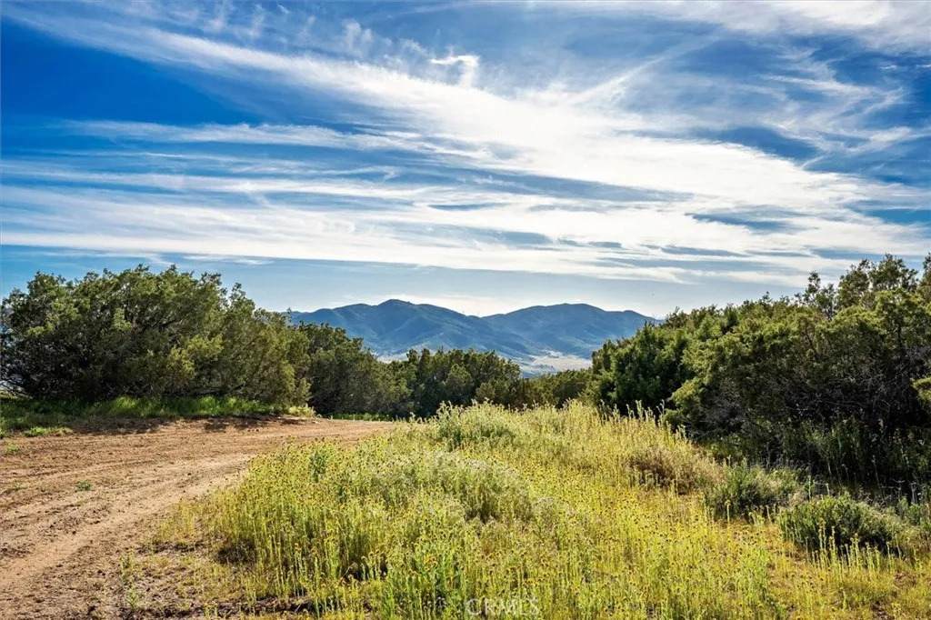 48725 Shallow Springs Road - Photo 1