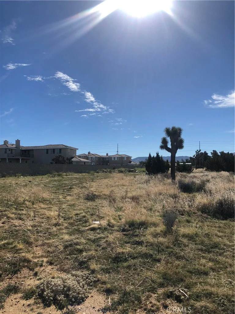 0 Vac/Vic Avenue M14/35Th Stw - Photo 1