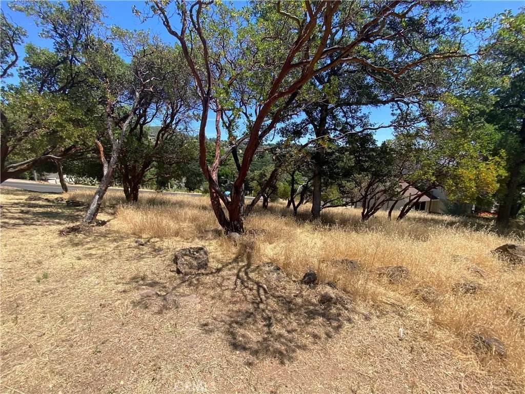 https://bt-photos.global.ssl.fastly.net/sandiego/orig_boomver_1_306605197-1.jpg