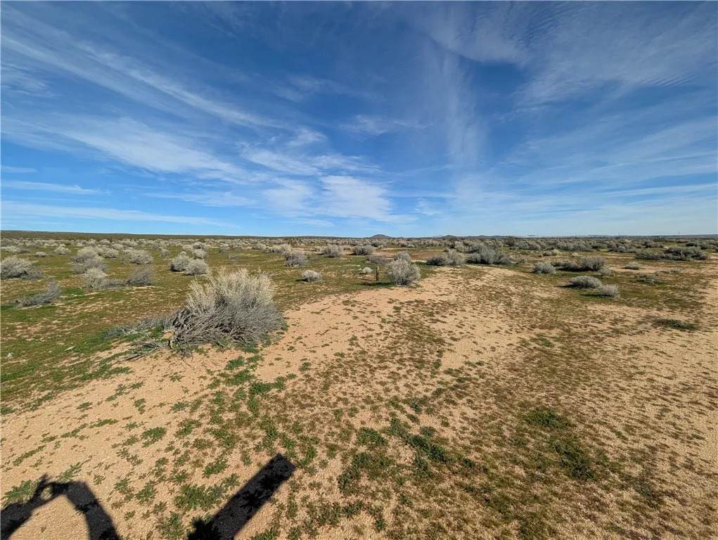 13251 135th Street - Photo 1