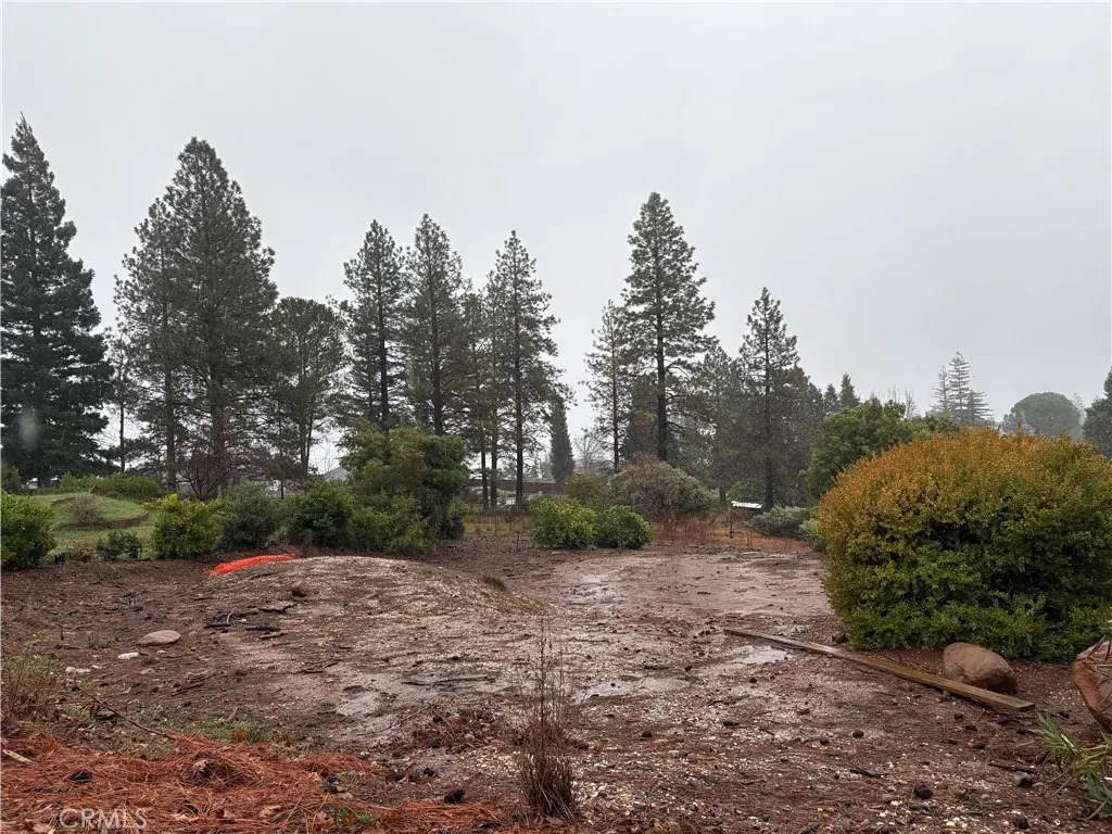 2376 Clearview - Photo 1
