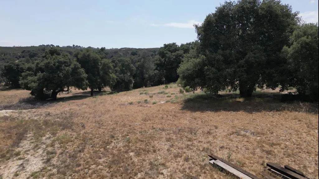  Avenida De Robles Verdes - Photo 1