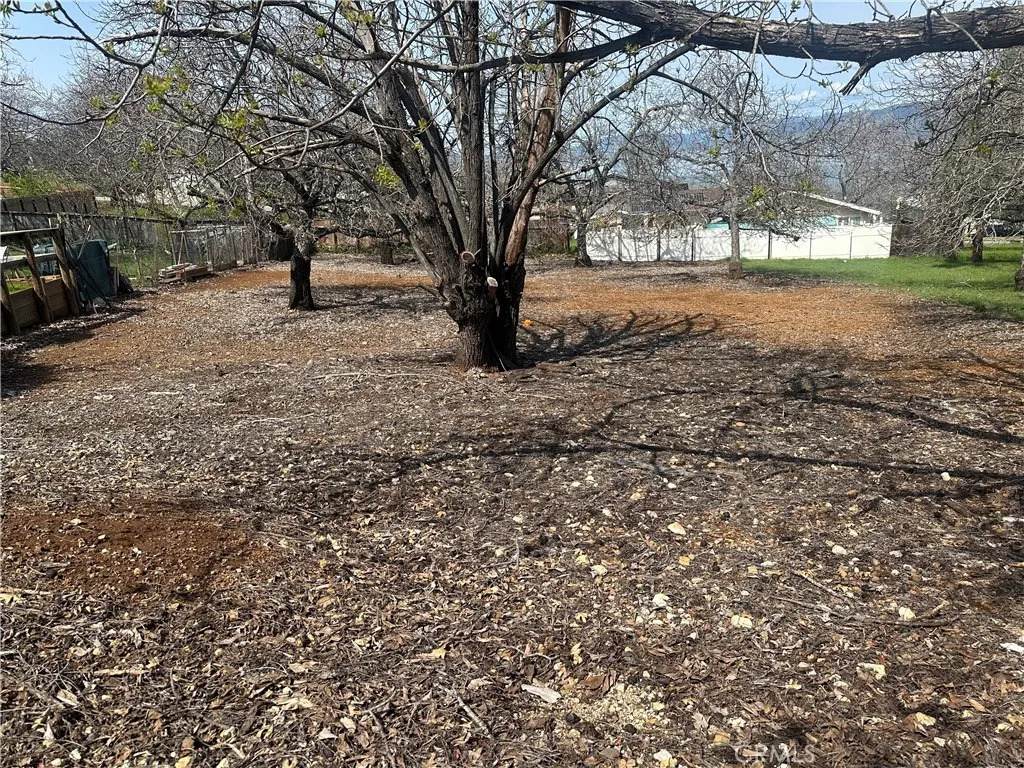 3165 Marina View - Photo 1