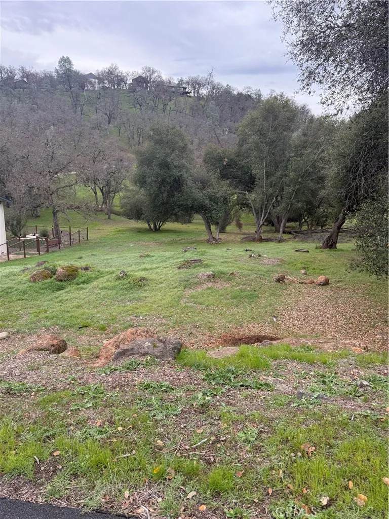 20185 Powder Horn Rd. - Photo 1