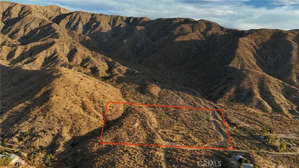 49680 Oskar - Photo 1