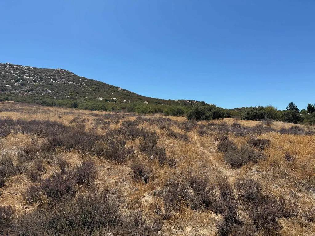 0 Montezuma Valley Road - Photo 1