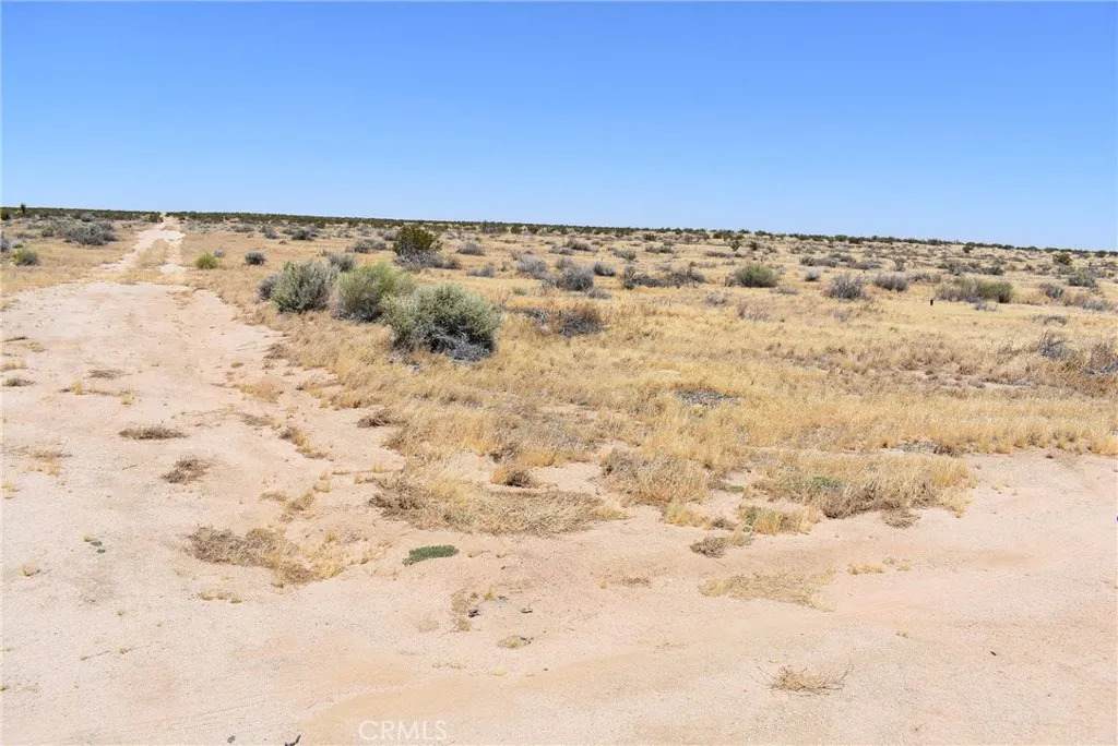 19500 Avenue F - Photo 1