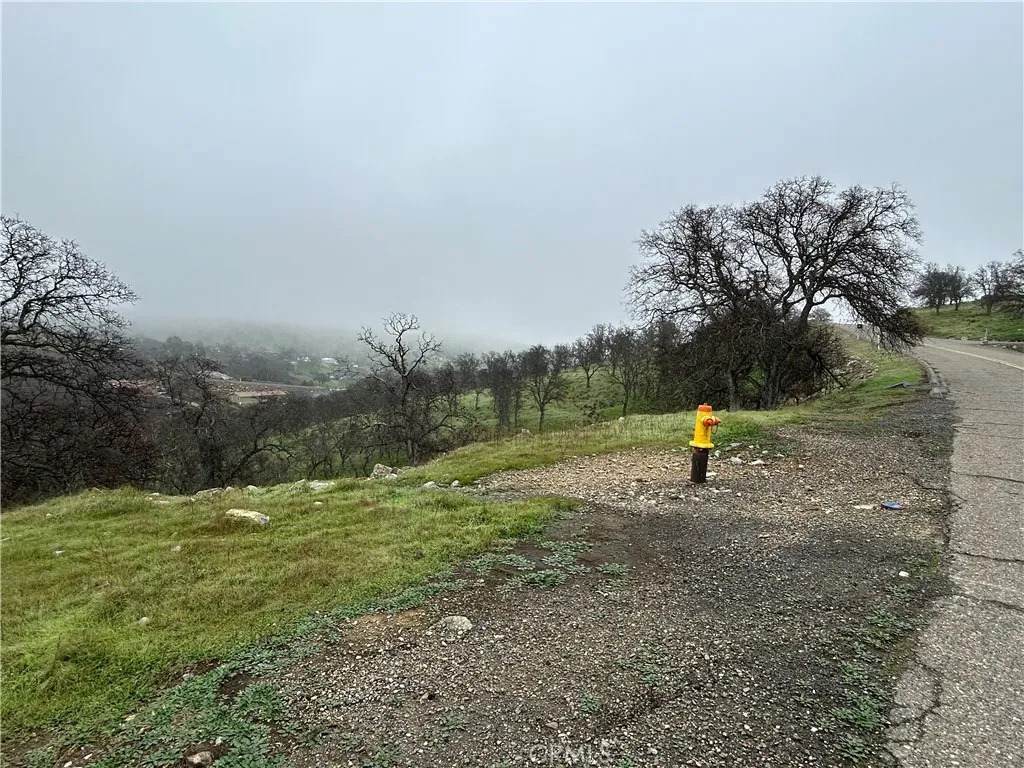 9784 Torito - Photo 1