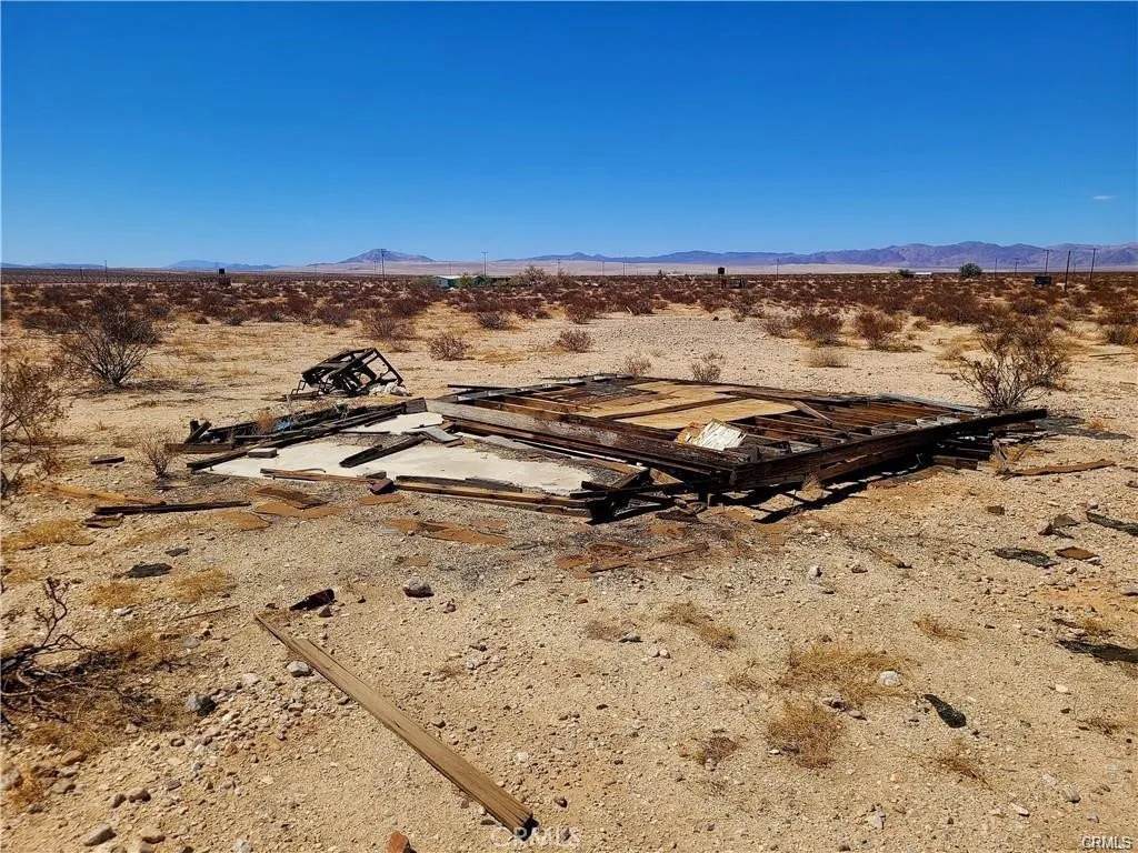 68790 Tortoise - Photo 1