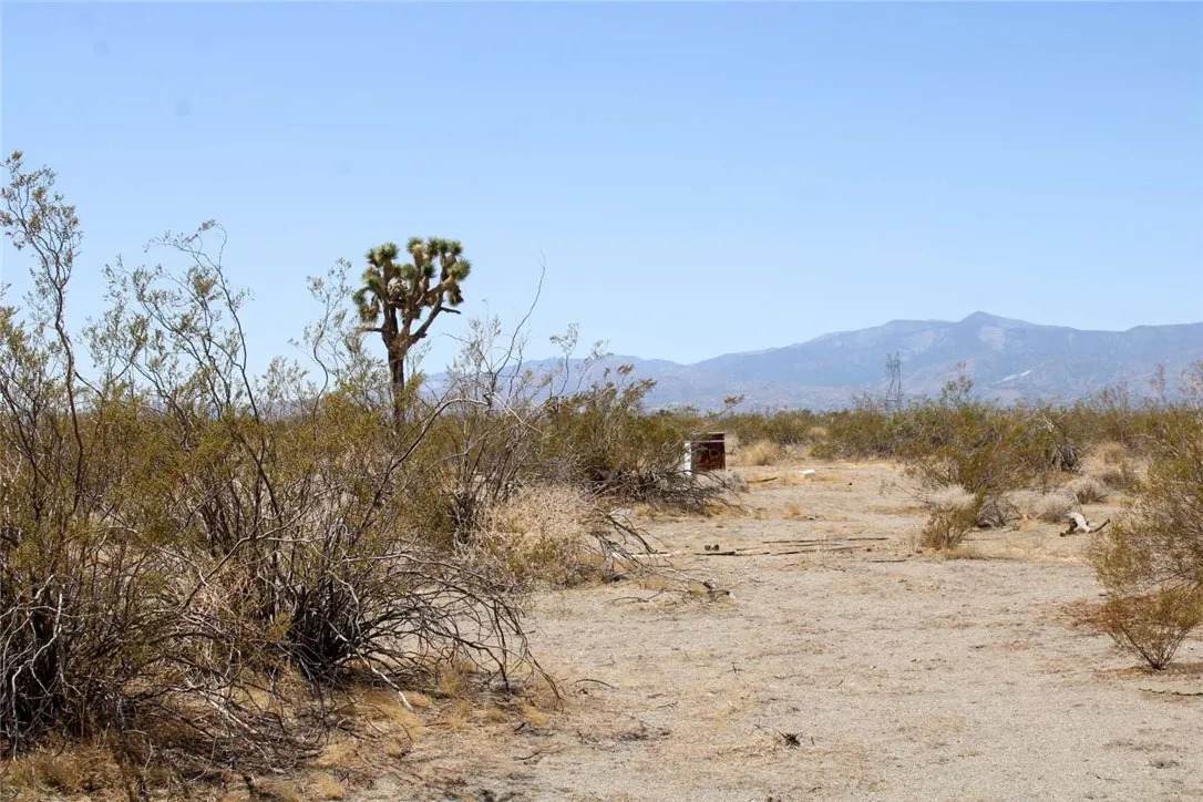 14999 Mojave - Photo 1