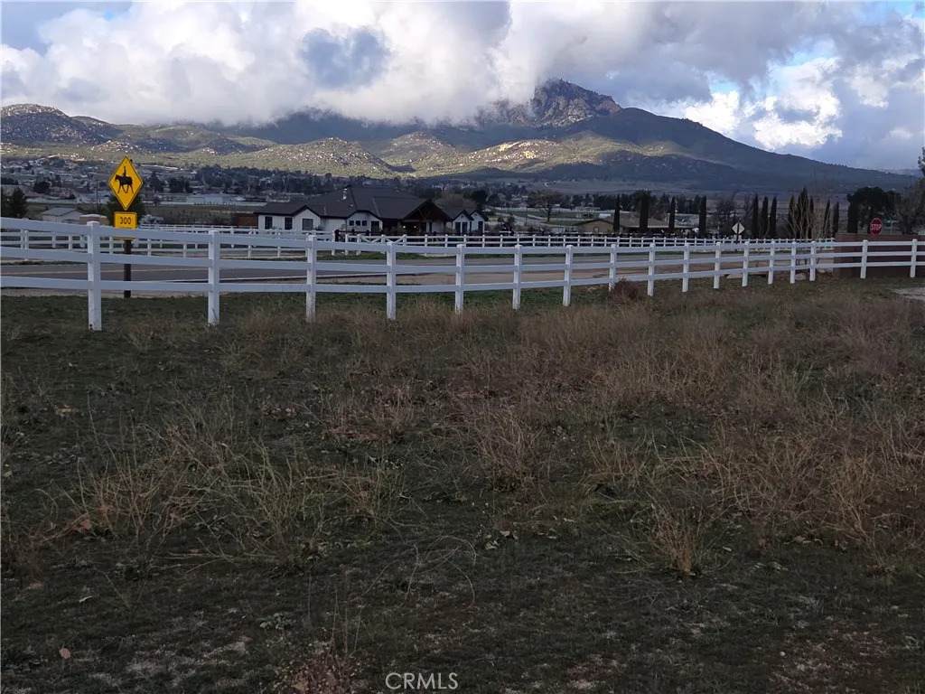 446 Roundup - Photo 1