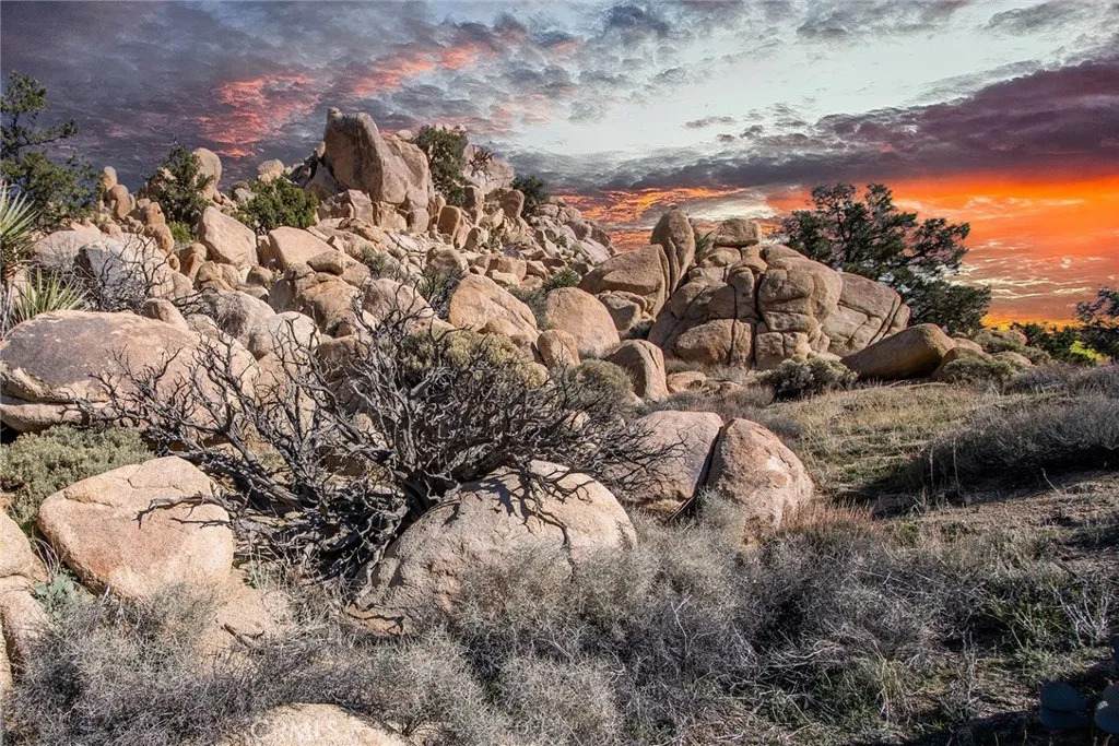 6274 Omega - Photo 1