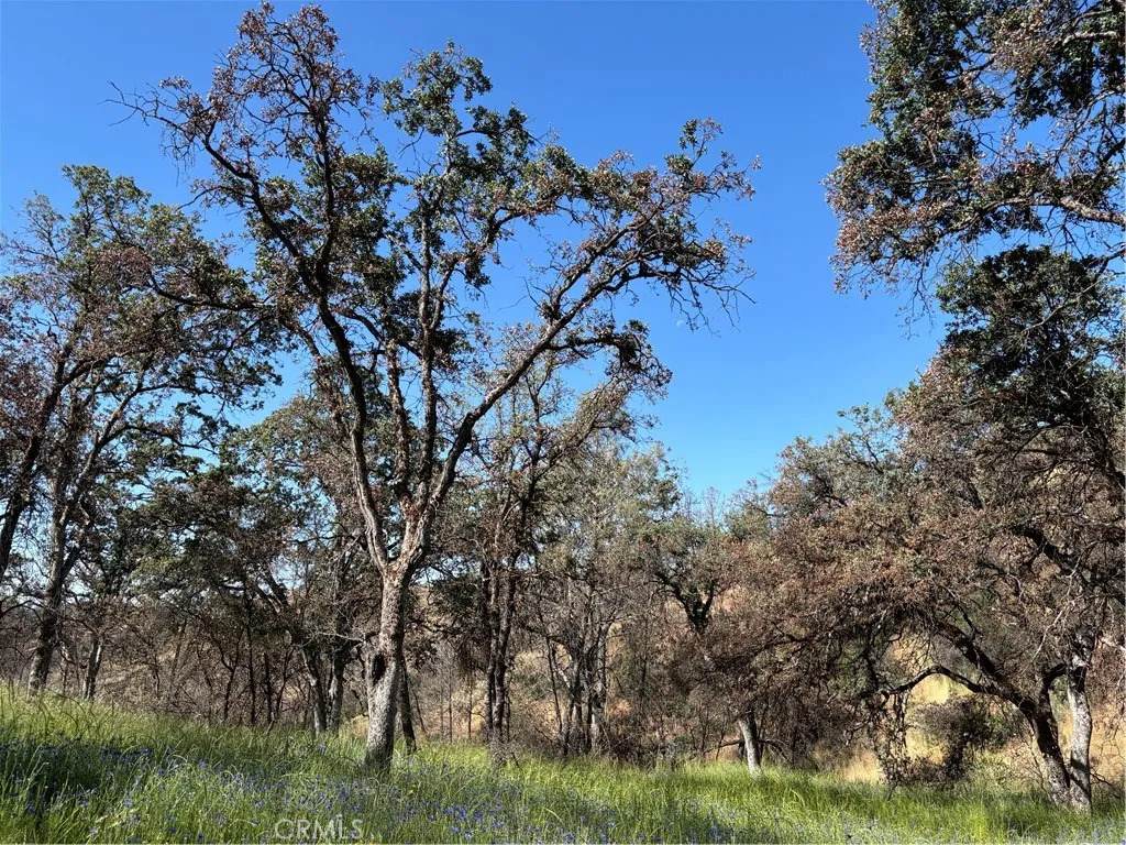 5358 Mariposa Heights - Photo 1