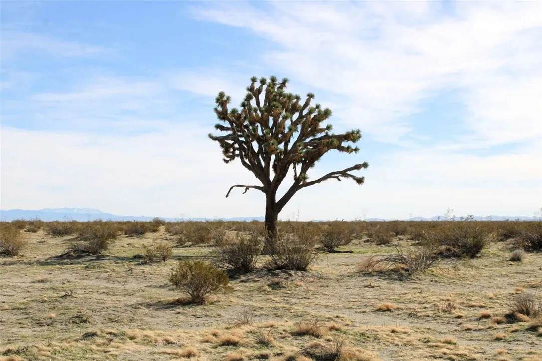 179937 Johnson - Photo 1