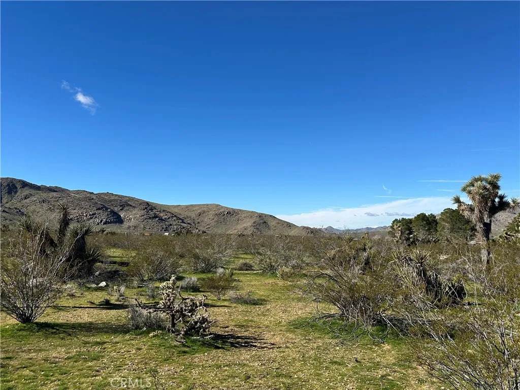 0 Cahuilla - Photo 1