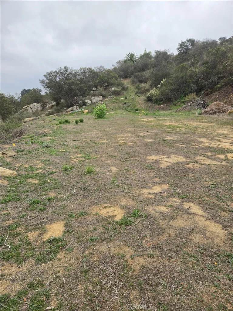 0 Rainbow Crest - Photo 1